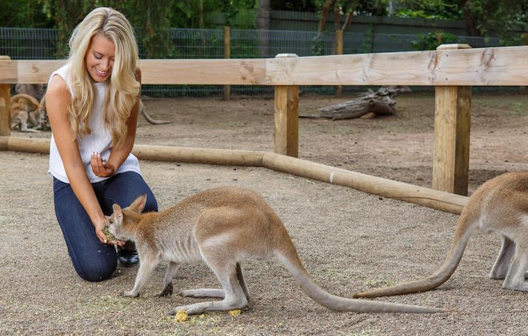 Smiling Woman Feeds Baby Kangaroo on Blue Mountains Wildlife Tour